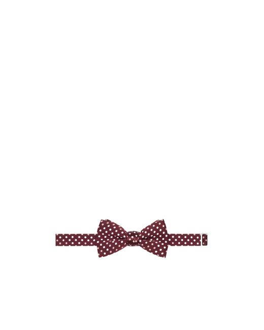 Céline Purple Bow Tie for men