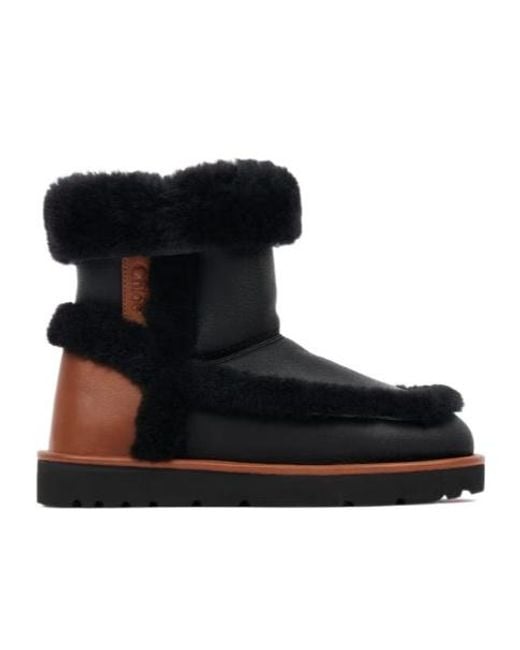 Chloé Black Chloé Dolcie Ankle Boots