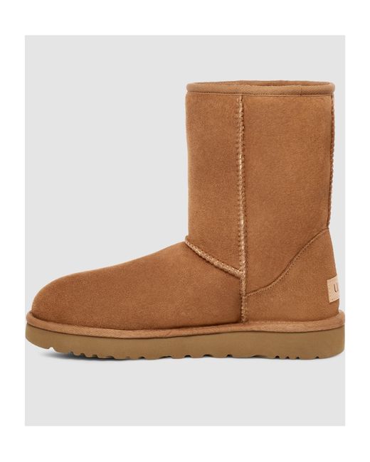 Ugg Brown Logo Snow Boots for men