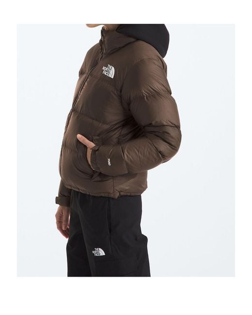 The North Face Brown 1996 Retro Nuptse Down Jacket