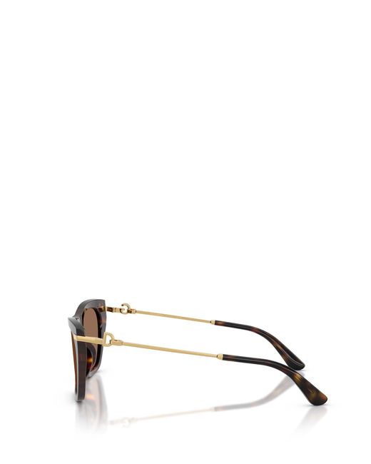 Dolce & Gabbana Multicolor Eyewear Cat Eye Frame Sunglasses