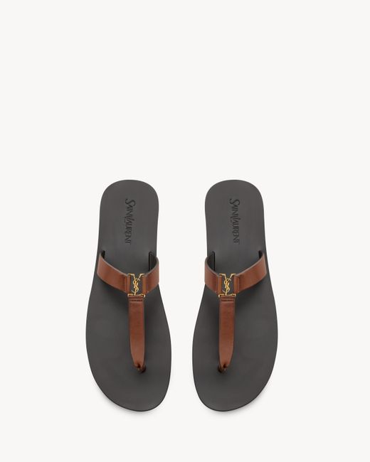 Saint Laurent Brown Babylone Thong Flat Sandals