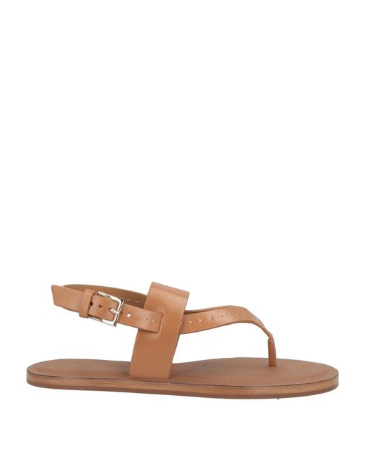 Max Mara Brown Solid-Color Leather Sandals