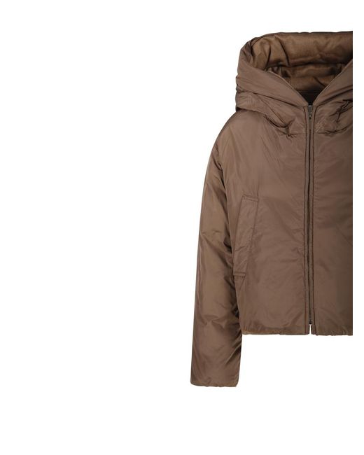 Max Mara Brown The Cube Dalia Down Jacket
