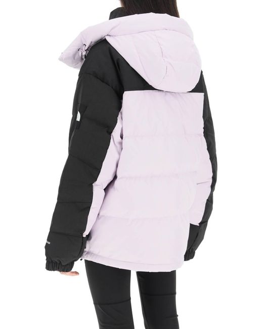 The North Face Black Himalayan 550Down Jacket