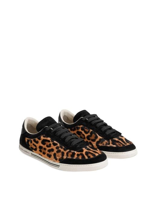 Dolce & Gabbana Black Saint Tropez Leo-Print Light Sneakers for men