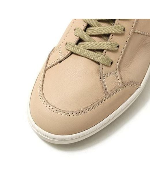 Tod's Brown Round Head Low-Cut Casual Shoes for men