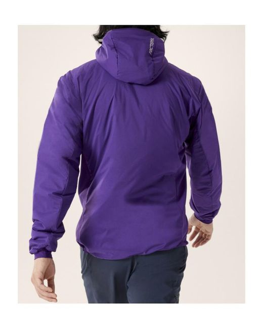 Arc'teryx Purple Atom Hooded Jacket for men
