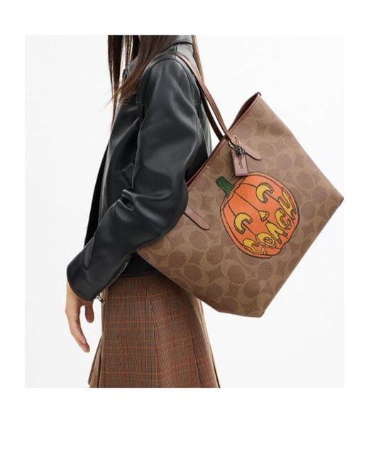 COACH Brown Printed Shoulder Bag