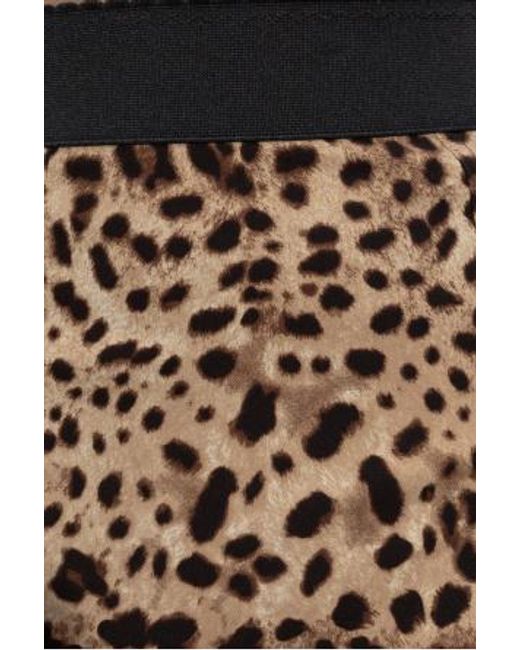 Dolce & Gabbana Brown High-Waist Printed Shorts