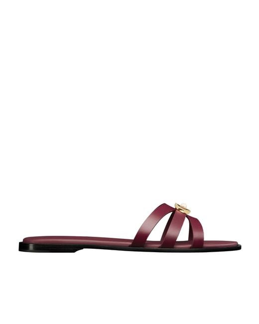 Dior Brown 30M Slide Flat Sandals