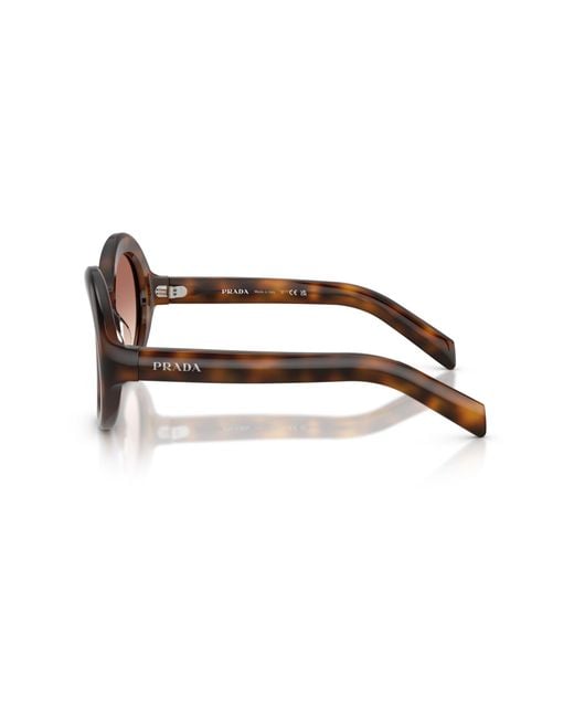 Prada Brown Eyewear Oversized Round Frame Sunglasses
