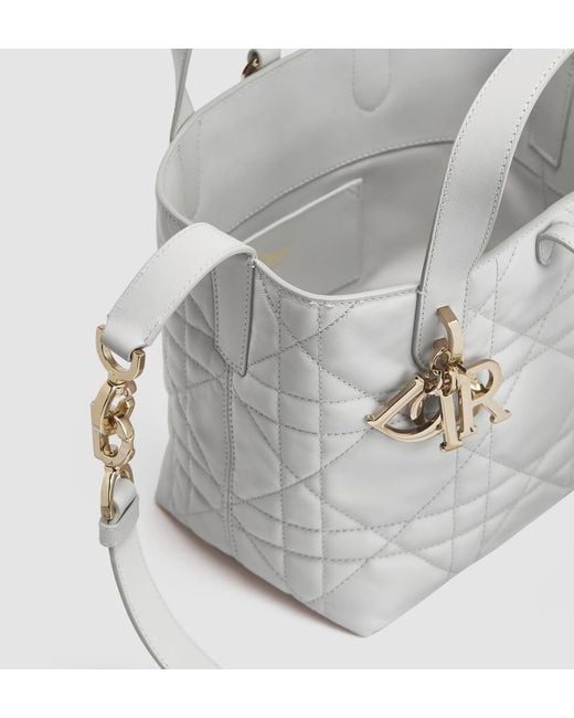 Dior Gray Small Toujours Vertical Tote Bag