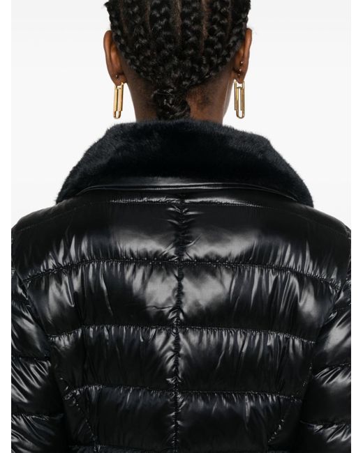 Herno Black Parkas