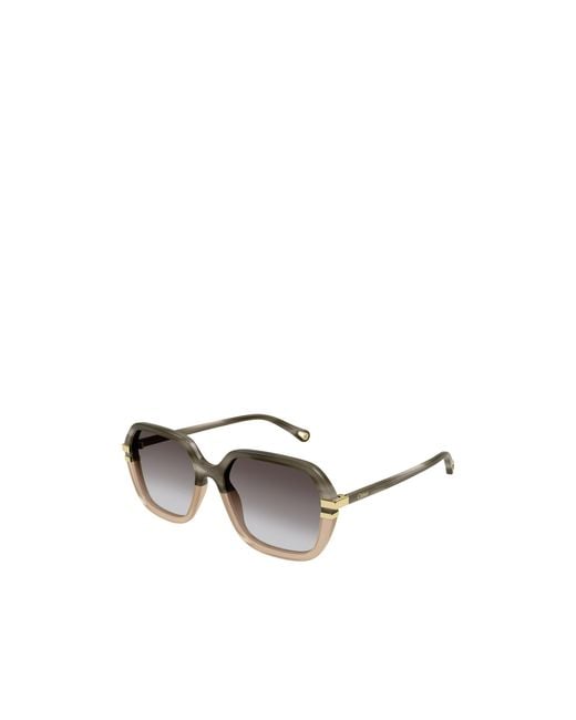 Chloé Multicolor Chloé Eyewear Rectangle Frame Sunglasses