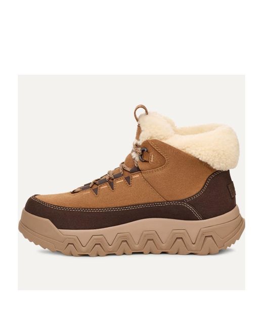 Ugg Brown Terretrail Cozy Lace-Up Boots