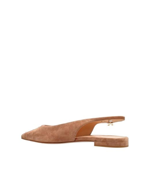 Gianvito Rossi Brown Robbie Pointed-Toe Ballerinas