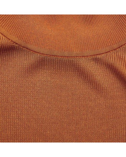 Self-Portrait Brown High-Neck Long-Sleeve Dress