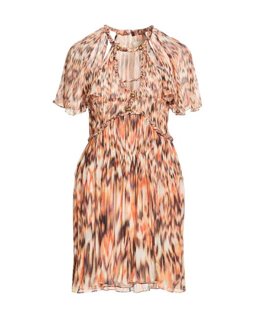 Isabel Marant Pink Versatile Flared Dress