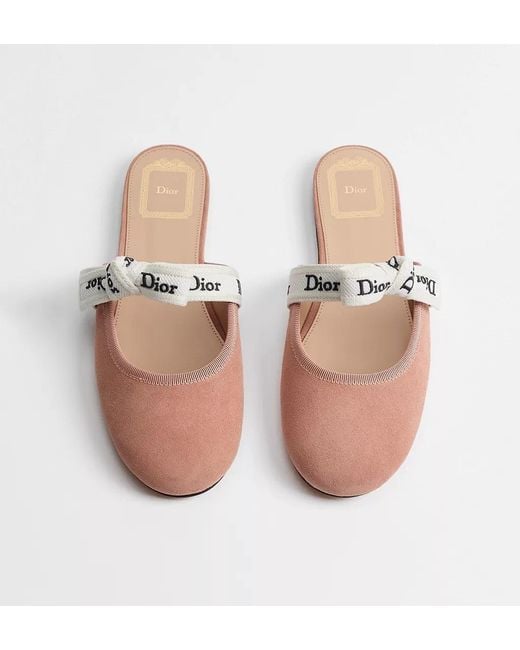 Dior Multicolor J'A Mules