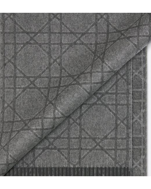 Dior Gray Cannage Scarf for men