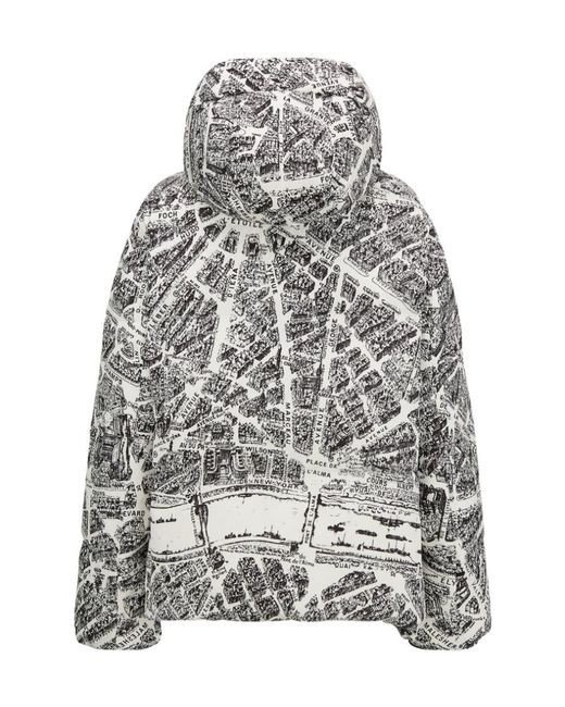 Dior Gray Alps Hooded Down Jacket