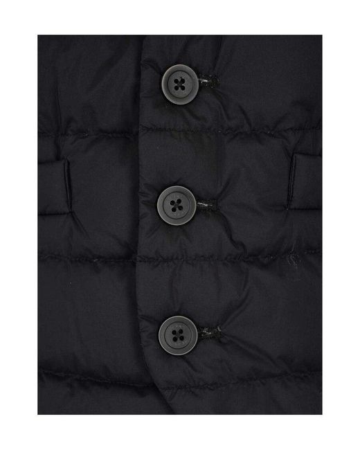 Herno Blue Padded Button-Up Gilet for men