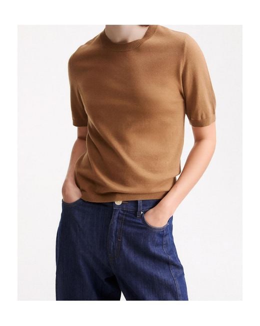 Marella Brown Crew-Neck Short-Sleeve Sweater