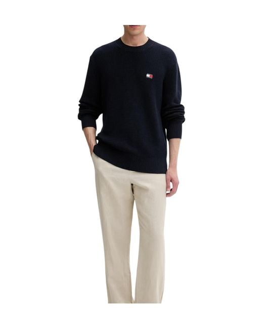 Tommy Hilfiger Blue Long-Sleeved Sweatshirt for men
