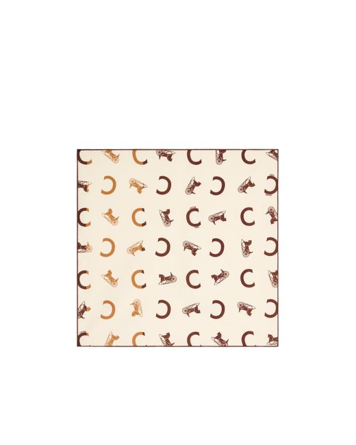 Céline White Bandana