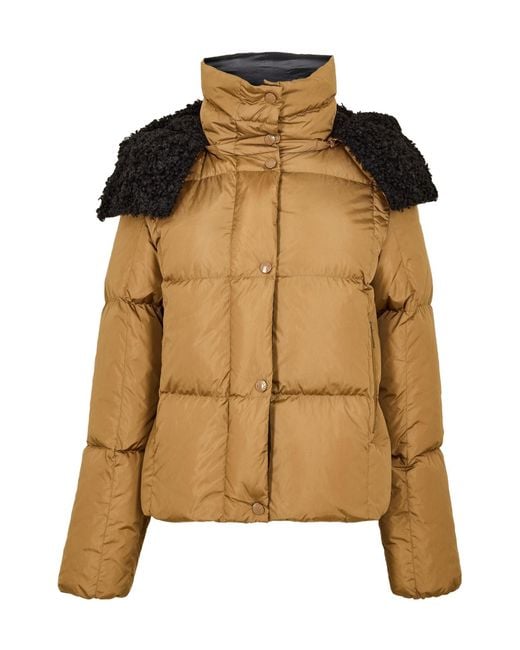 Moncler Brown Simple Down Jacket