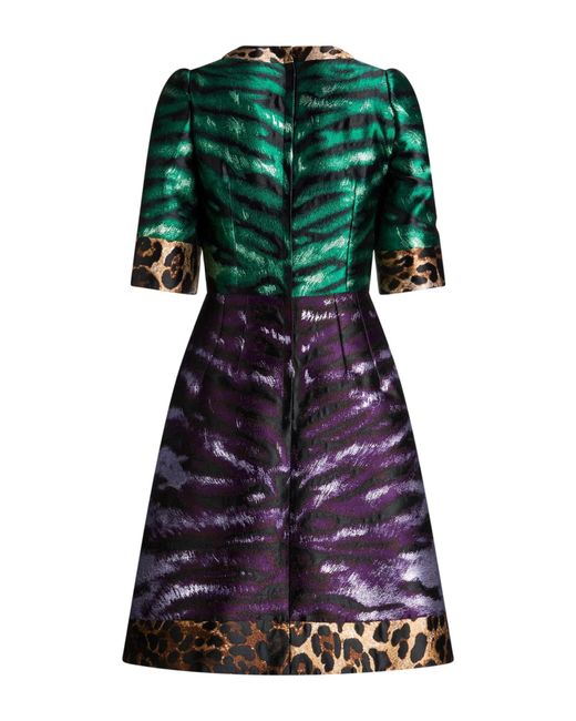 Dolce & Gabbana Green Animal Print Short-Sleeve Dress
