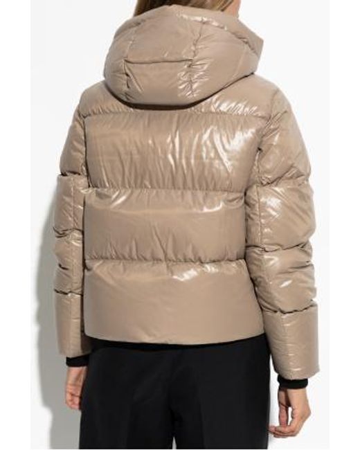 Moose Knuckles Natural Hooded Down Jacket