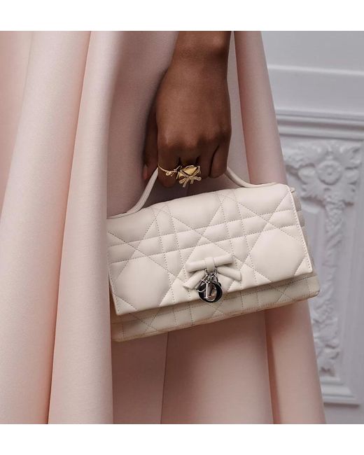 Dior Multicolor My Tender Top Handle Mini Bag