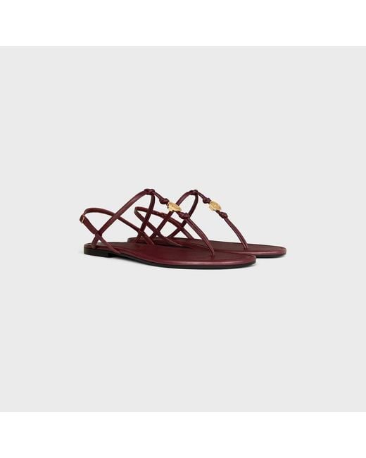 Céline Brown Penny Sandal
