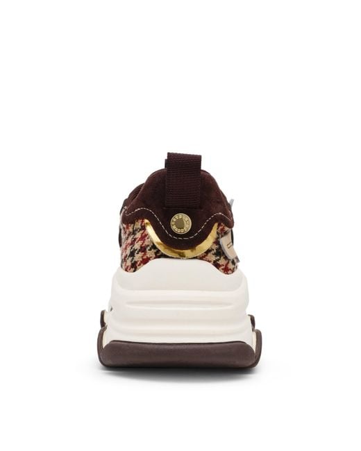 Steve Madden Brown Color Block Casual Shoes