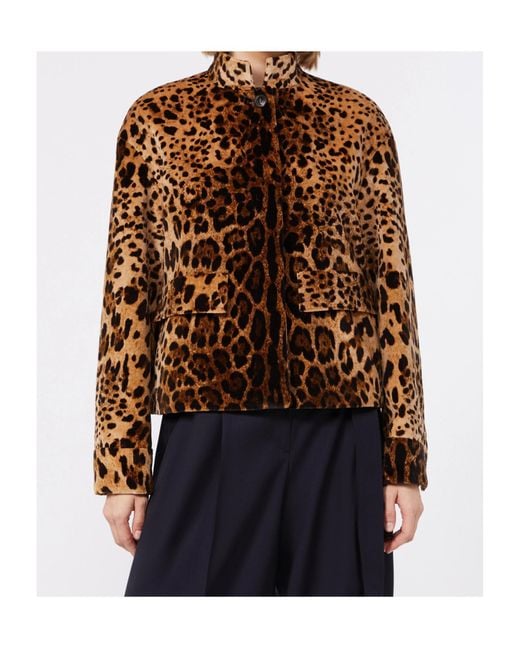 Max Mara Brown Studio Mstedro Animal-Print Jacket