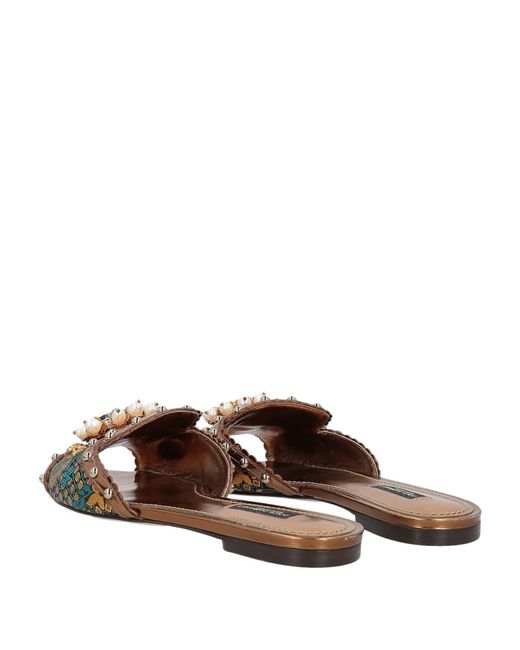 Dolce & Gabbana Brown Metallic Slide Sandals