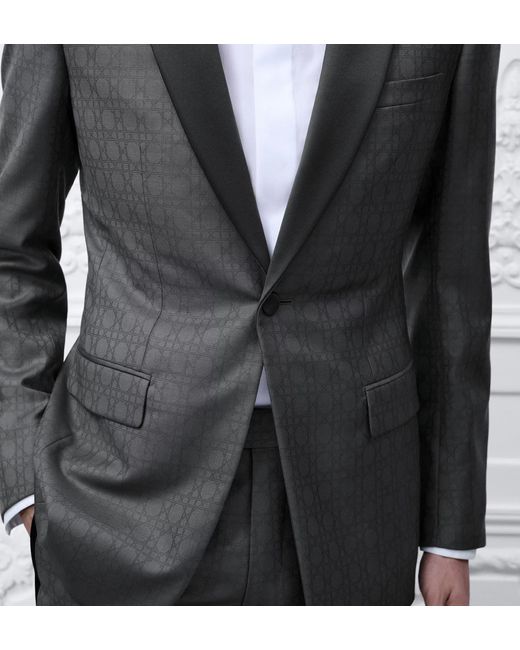 Dior Gray Long-Sleeved Suit Jacket Set for men