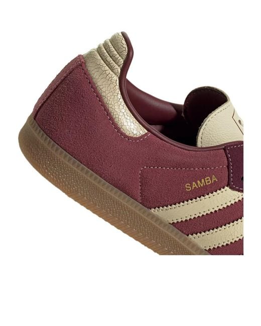 Adidas Originals Brown Samba Leather Sneakers for men