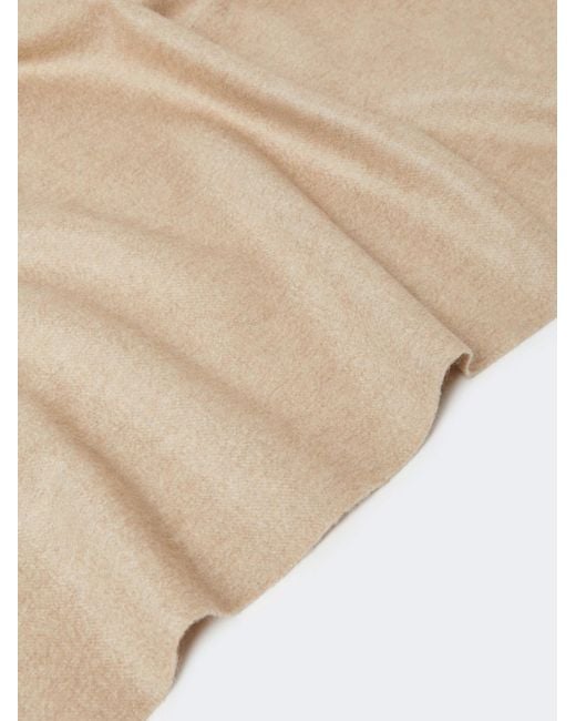 Max Mara Natural Baci Scarf