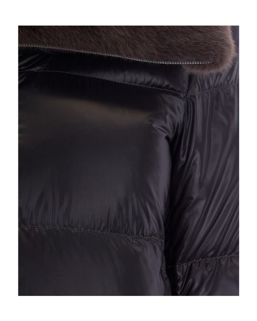 Herno Black Collared Padded Jacket