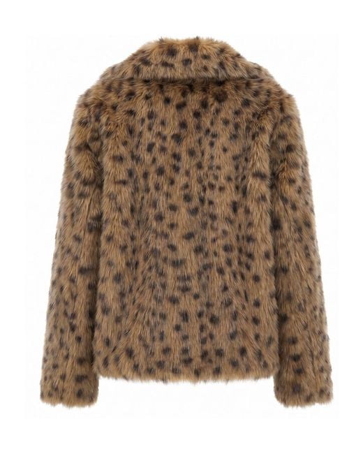 Aniye By Brown Long-Sleeve Jacket
