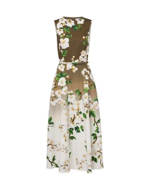 Oscar de la Renta White Floral Ombré Cotton-Blend Cocktail Dress