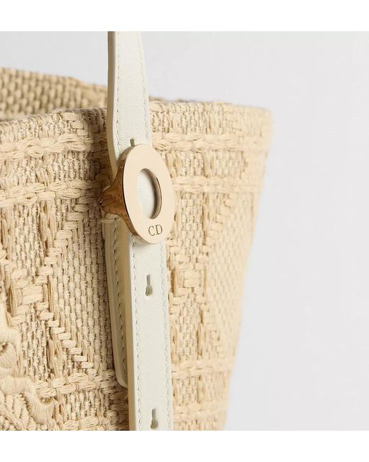 Dior Metallic Iviera Small Blooming Bag