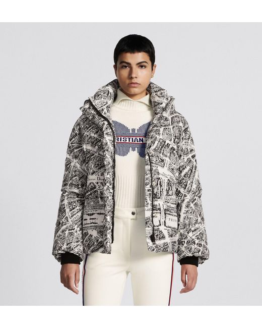 Dior Gray Alps Hooded Down Jacket