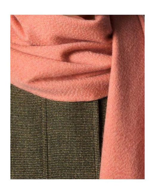 Loro Piana Pink Grande Unita Scarf