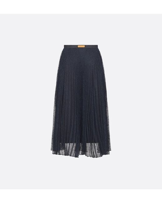 Dior Blue Long Transparent Skirt