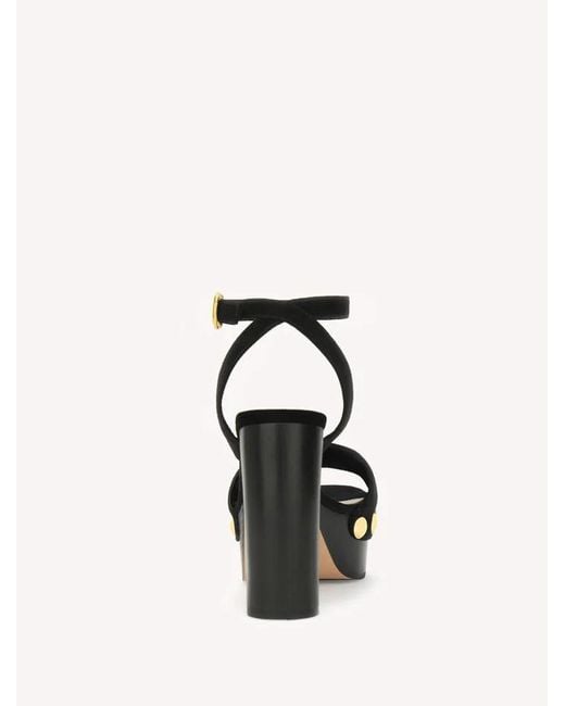 Gianvito Rossi Black Ardéa Studded Platform Sandals
