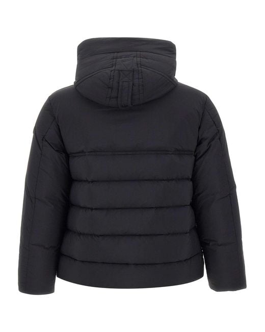 Peuterey Blue Eddie Hooded Down Jacket for men
